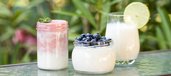 Drei Gläser Joghurt vor Pflanzengrün: einmal mit pürierten Himberen, einmal mit einer handvoll Heidelbeeren, einmal als Joghurt-Drink mit Limette.