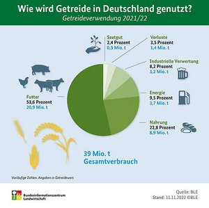 Infografik Getreideverbrauch