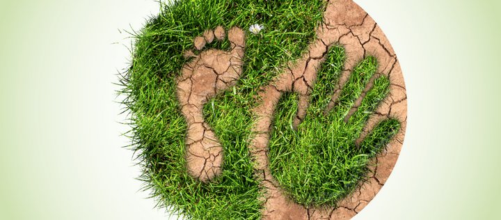 Hand- und Fußabdruck aus Gras auf vertrocknteter Erde