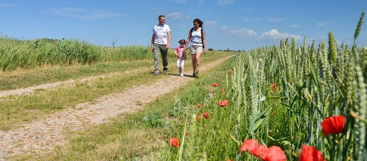 Eine Frau, ein Mann und ein kleines Mädchen gehen auf einem Feldweg spazieren. 