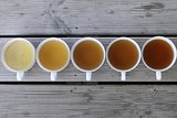 Reihe von Teetassen mit unterschiedlich stark gefärbtem Tee