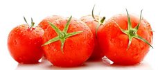 fünf reife Tomaten mit Strunk