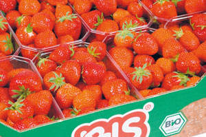 Bio-Erdbeeren in einer Kiste
