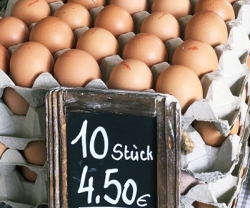 Eier zum losen Verkauf