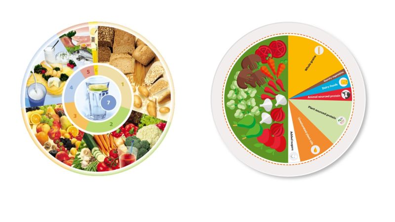 Der Ernährungskreis der DGE und die Empfehlungen der Planetary Health Diet