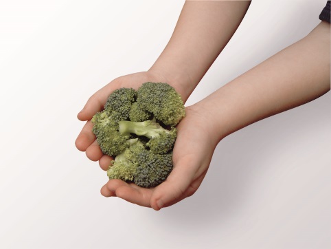 Kinderhände halten Brokkoli