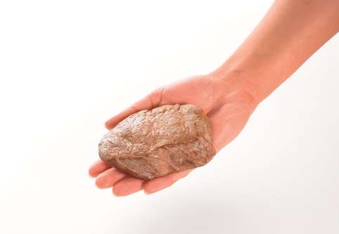 Ein Stück Fleisch auf Handfläche.