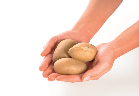 Eine Hand voll Kartoffeln.