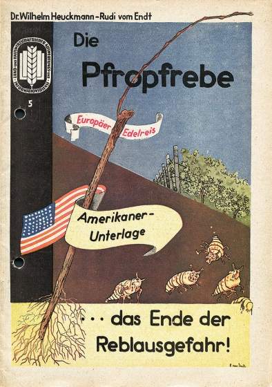 Historisches Bild 03: Titelbild: aid-Heft "Die Pfropfrebe... das Ende der Reblausgefahr!" von 1951