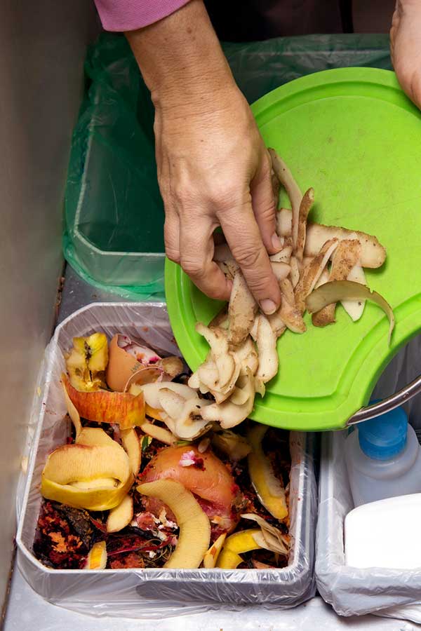 Entsorgen von Gemüseabfällen im Bio-Müll