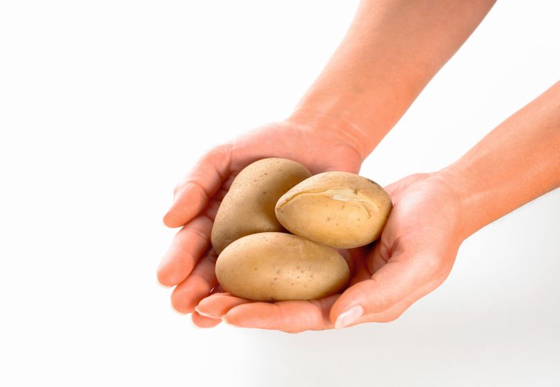Hände mit Kartoffeln