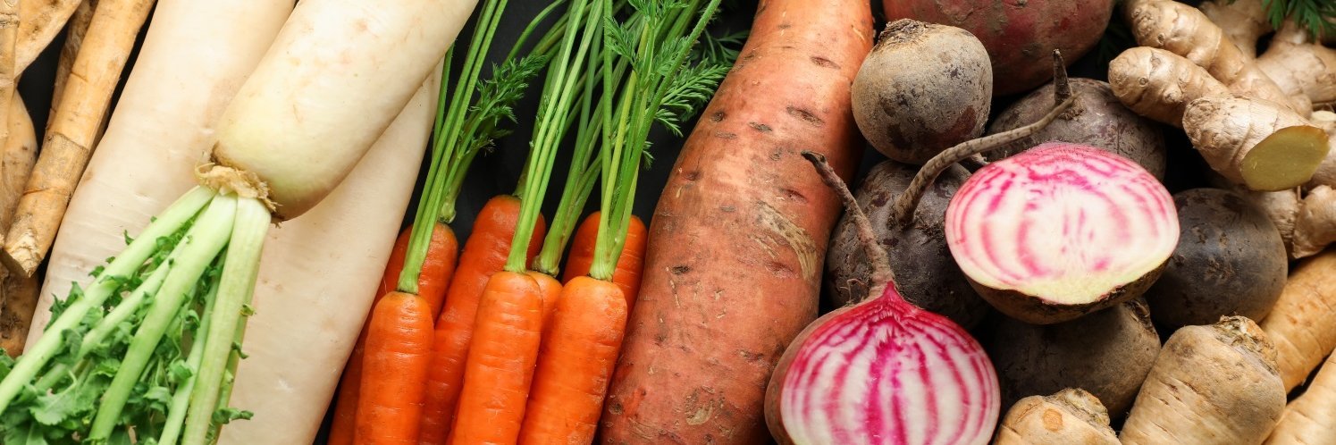 Heimisches Gemüse wie Bundmöhren, Rote Bete, Rettich, Pastinaken, Ingwer und Süßkartoffeln füllt das Bild.