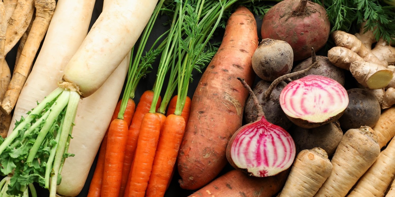 Heimisches Gemüse wie Bundmöhren, Rote Bete, Rettich, Pastinaken, Ingwer und Süßkartoffeln füllt das Bild.. Artikel "Bio und regional in Mensa und Kantine" öffnen.