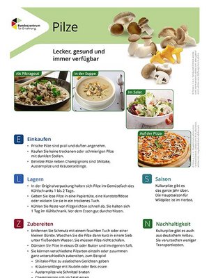 Ansicht des Lebensmittel-Infoblattes Pilze