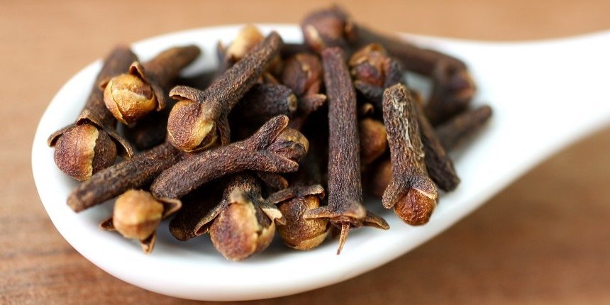 Gewürznelken auf einem weißen Löffel. Artikel "Weihnachtsduft liegt in der Luft" öffnen.