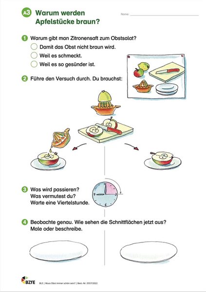 Arbeitsblatt aus dem Material Muss Obst immer schön sein. 