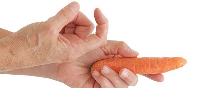 Möhre in einer Hand, die andere Hand versucht mit der typischen Hand-Fingerhaltung zur Möhre zu locken