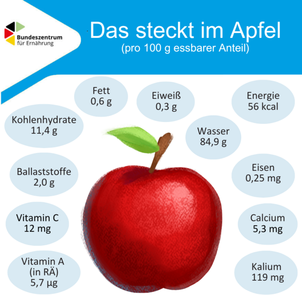 Die Grafik zeigt die Inhaltsstoffe von Apfel je 100 Gramm essbarar Anteil.