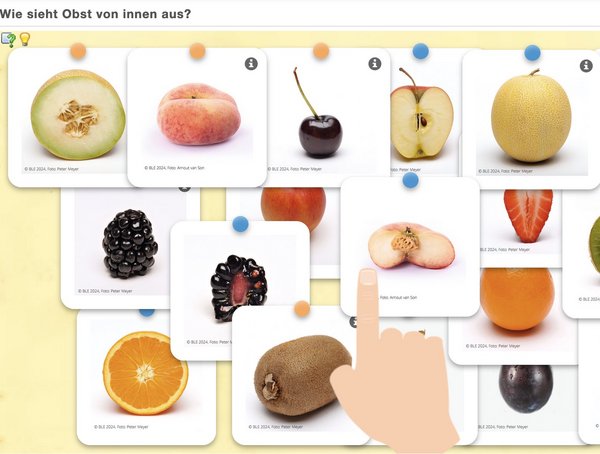 Digitales Quiz zu Obst