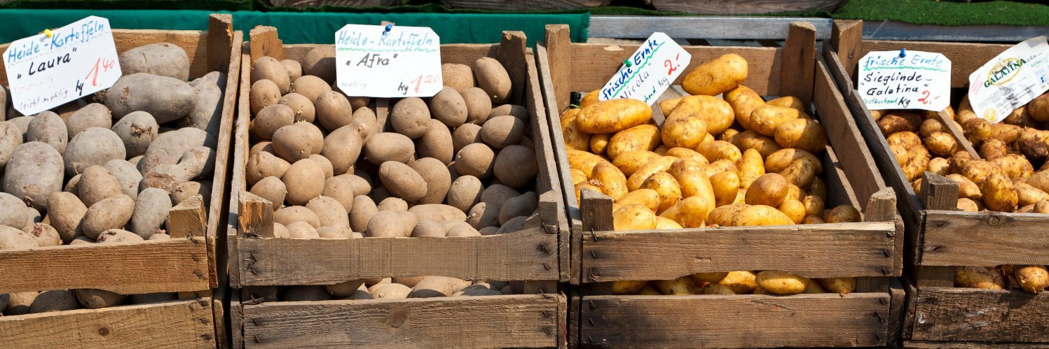 Verschiedene Kartoffelsorten liegen in Holzkisten nebeneinander.