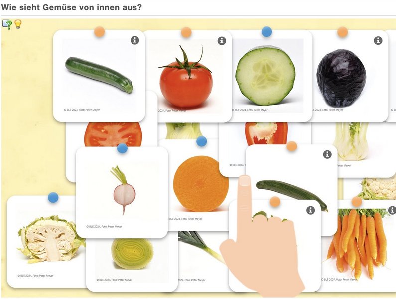 Verschiedene Quizzkarten mit Obst und Gemüse.