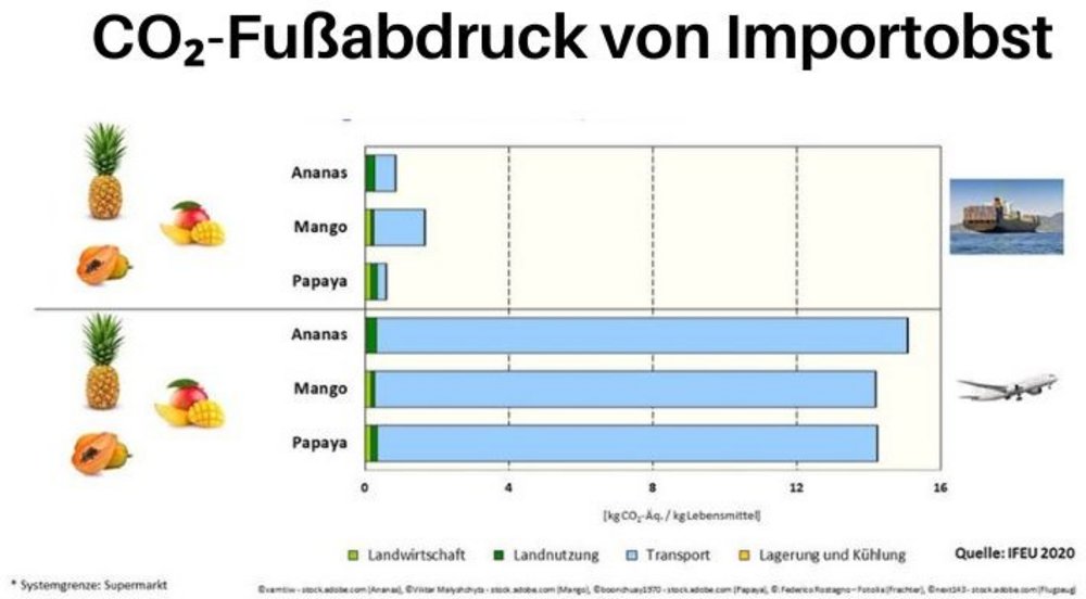 Das Balkendiagramm zeigt den Klimafußabdruck von Ananas, Mango und Papaya beim Import mit dem Schiff und beim Flugtransport.