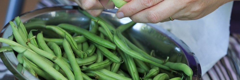 Grüne Bohnen werden bearbeitet.