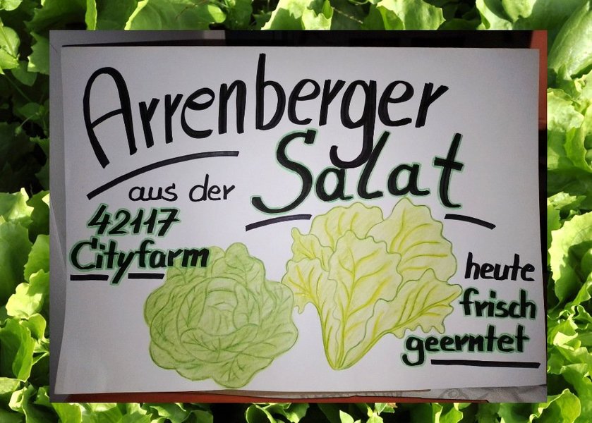 Ein Plakat mit gruenen Salatkoepfen, auf dem steht: Arrenberger Salat, heute frisch geerntet.