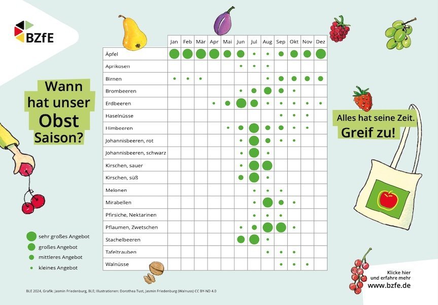 Dieser einfache Obstkalender bietet mit einer kindgerechten Auswahl einen Einstieg in das Thema Saisonalität.