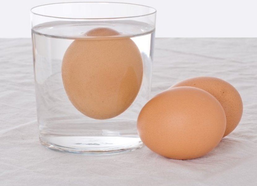 Ei schwimmt in einem Wasserglas.
