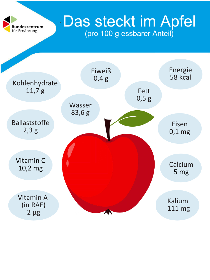 Die Infografik zeigt wichtige Inhaltsstoffe von Äpfeln.