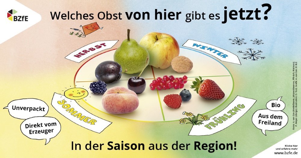 Auf einem Kreis mit vier Segmenten für die vier Jahreszeiten liegen zur Jahreszeit passendes Obst. 