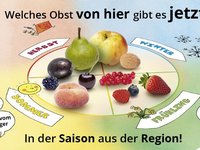 Auf einem Kreis mit vier Segmenten für die vier Jahreszeiten liegen zur Jahreszeit passendes Obst. 