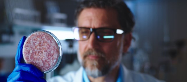Ein Mann im Labor hält eine Probe In-vitro Fleisch in den Händen