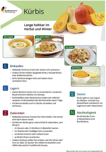 Ansicht des Lebensmittel-Infoblattes Kürbis