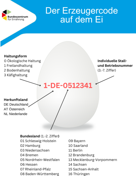 Die Grafik erklärt die Bedeutung der Ziffern und Buchstaben des Erzeugercodes aus einem Hühnerei.