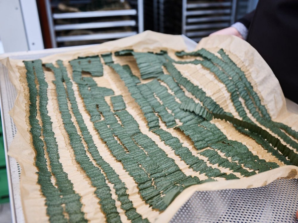 Getrocknete Algen liegen auf einem Backblech.