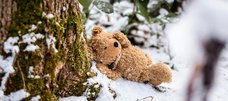 Ein brauner Teddy-Bär ruht im Schnee, angelehnt an einen Baum.