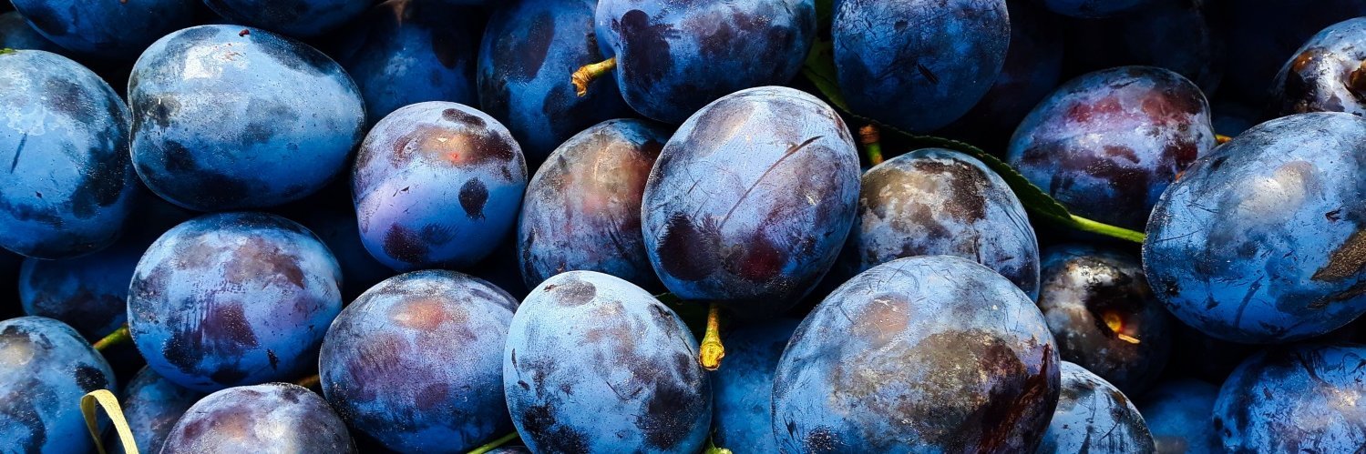 Das Bild ist ausgefüllt mit blauen Pflaumen teils mit Stängeln und Blättern.