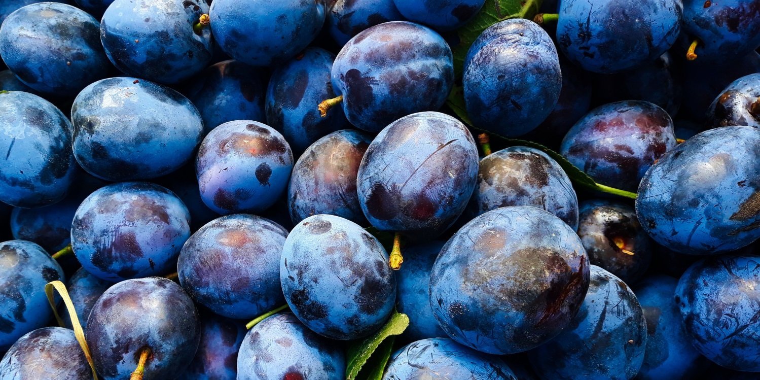 Das Bild ist ausgefüllt mit blauen Pflaumen teils mit Stängeln und Blättern.. Artikel "Perfektes Duo: Pflaumen und Zwetschgen" öffnen.