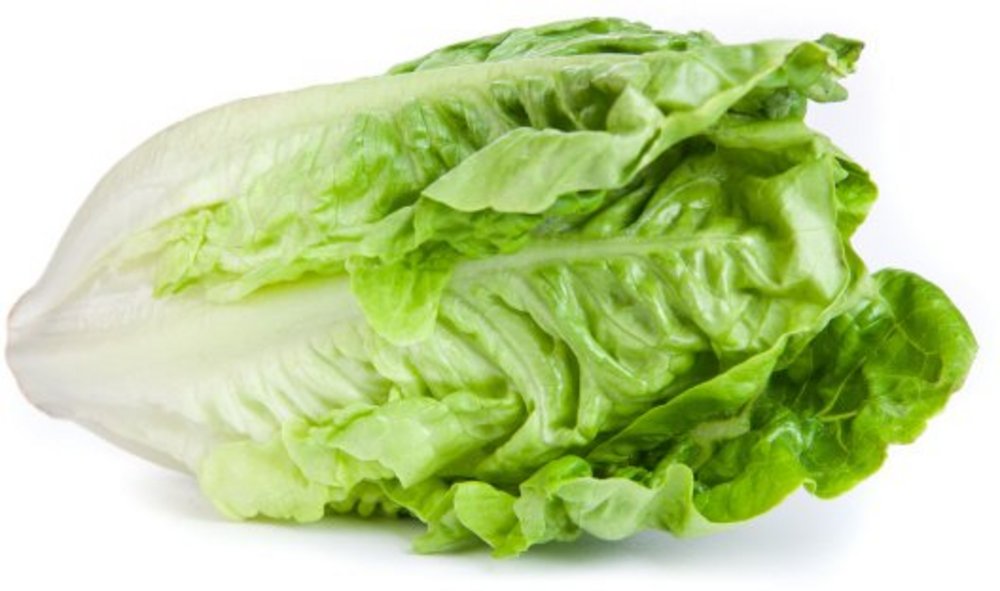 Ein Romanasalat auf weißem Hintergrund.