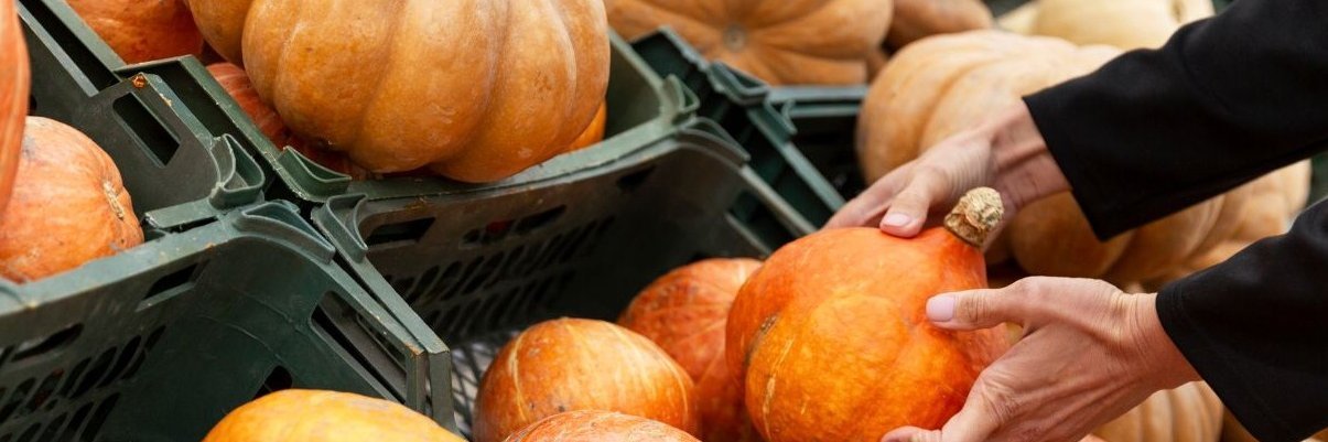 Es sind mehrere orangene Kürbisse in Gemüsekisten ausgelegt. Eine Person nimmt sich einen Kürbis.