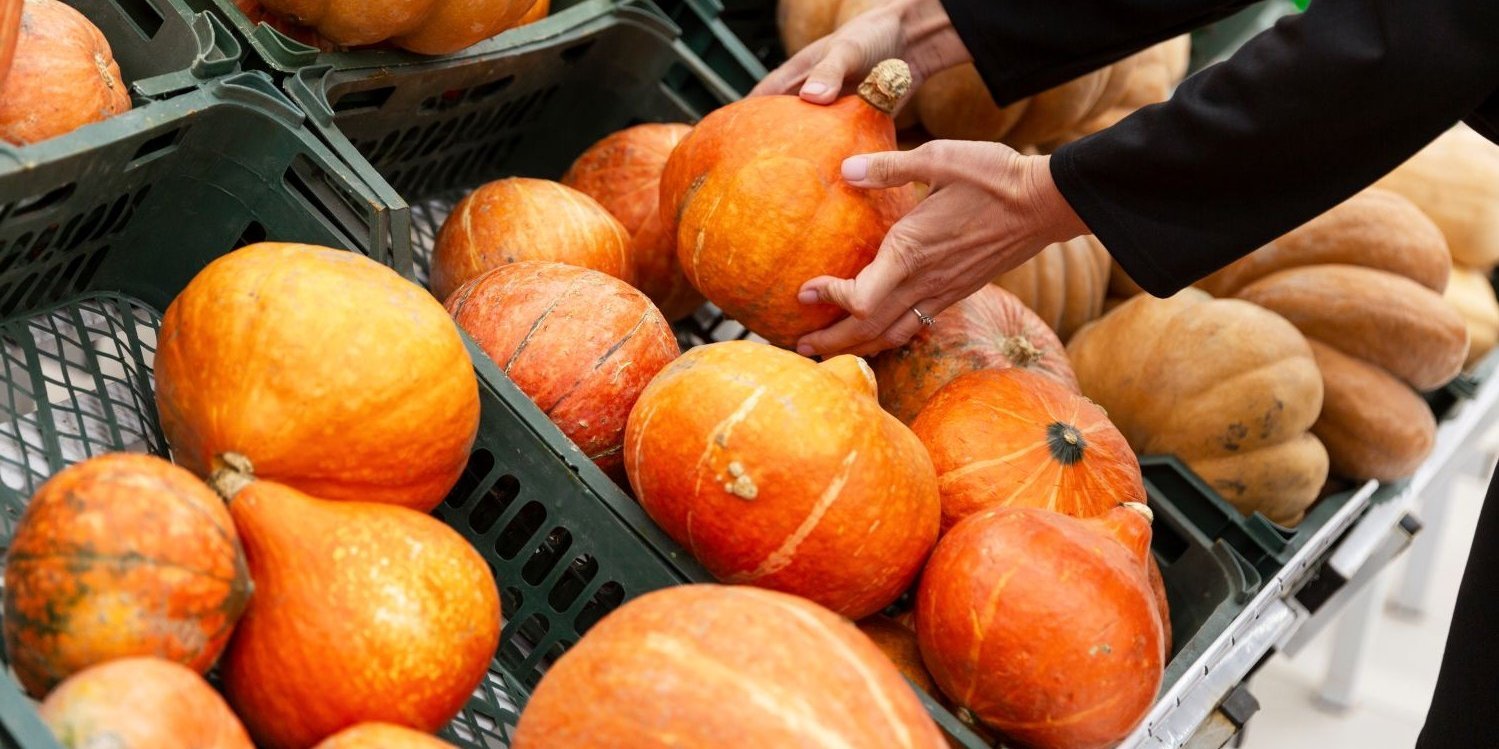 Es sind mehrere orangene Kürbisse in Gemüsekisten ausgelegt. Eine Person nimmt sich einen Kürbis.. Artikel "Kürbisse: Vom Einkauf in die Küche" öffnen.