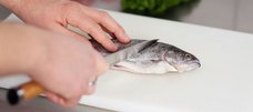 ein Fisch wird auf einem Brettchen mit einem Messer geschnitten