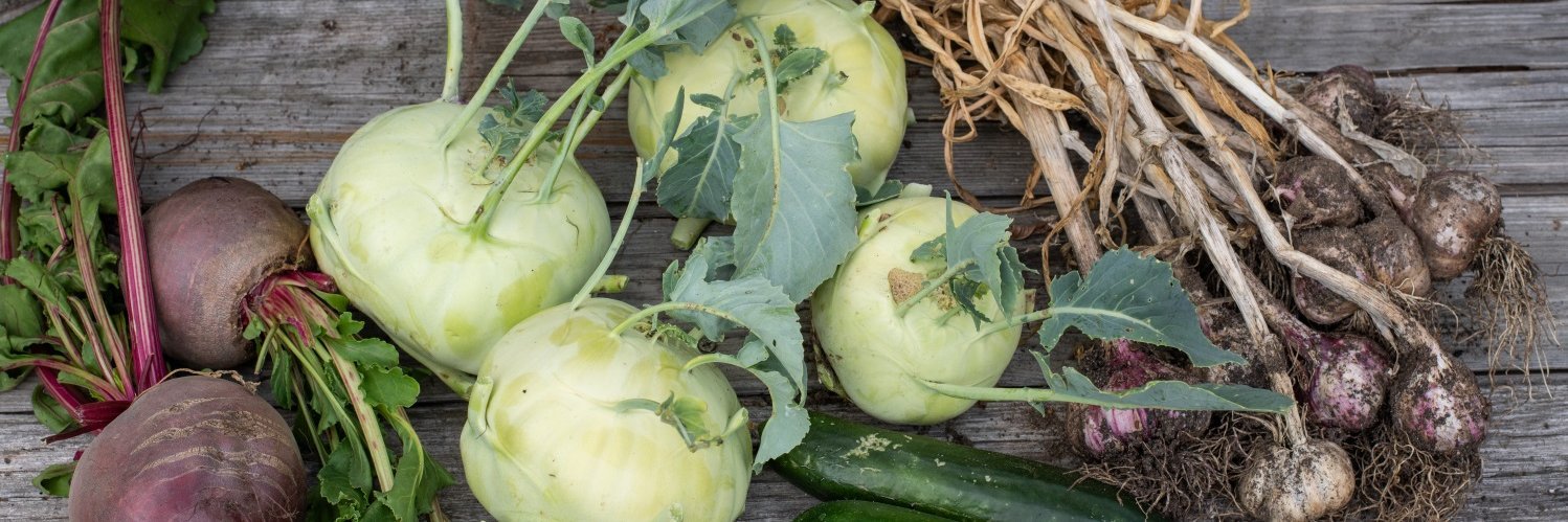  Auf einem Holzuntergrund liegen frisch geerntete Rote Beten, Kohlrabi, Gurken und Knoblauch. 