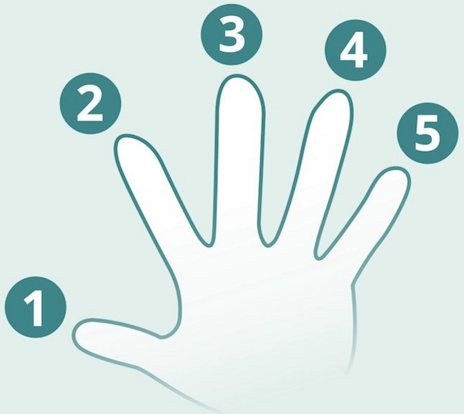 Die Grafik zeigt eine Hand, deren fünf Finger nummeriert sind.