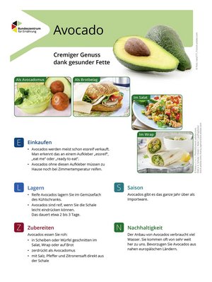 Ansicht des Lebensmittel-Infoblattes Avocado