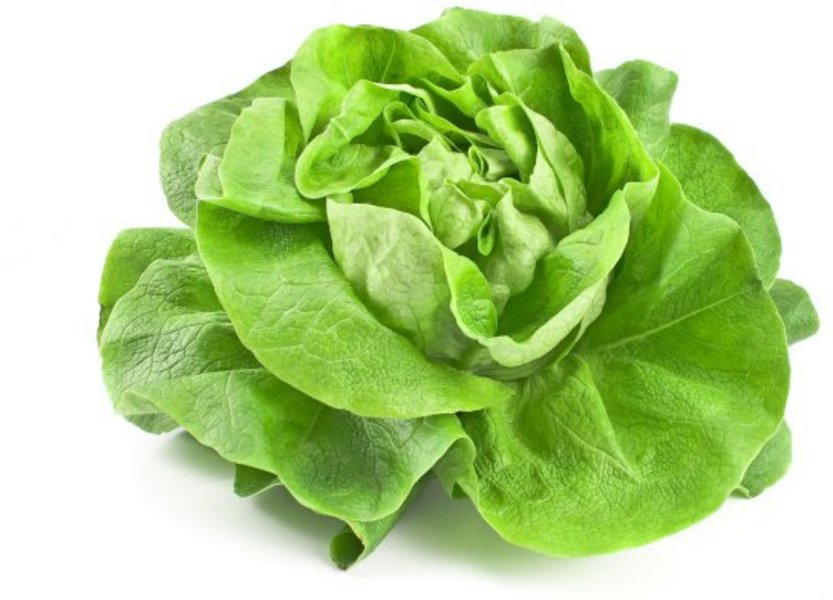 Ein Kopfsalat auf weißem Hintergrund.