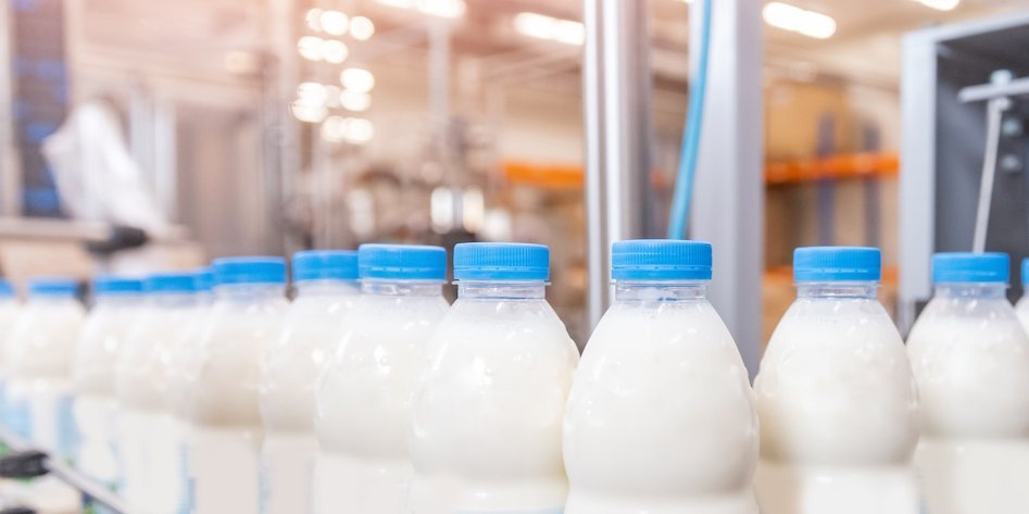 Milchflaschen stehen in einer lagen Reihe auf einem Fließband.. Artikel "Milch: Vom Stall in den Handel" öffnen.