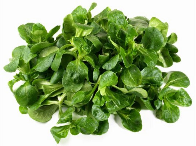 Ein Bund Feldsalat auf weißem Hintergrund.